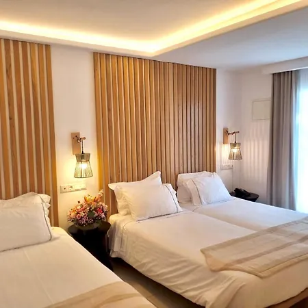 Damianos Mykonos Hotel 3*