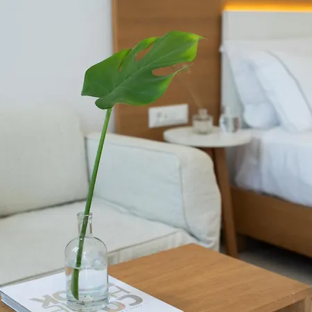 Hotel Damianos Mykonos Mykonos Town